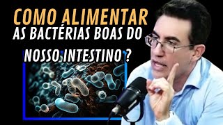 COMO ALIMENTAR AS BACTÉRIAS BOAS DO INTESTINO [upl. by Eseuqcaj995]