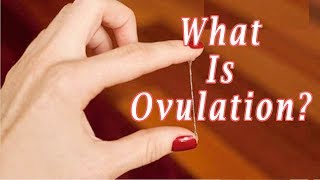 what Does Ovulation Mean  What Is Ovulation [upl. by Semyaj]