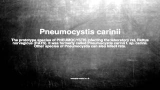 Medical vocabulary What does Pneumocystis carinii mean [upl. by Nali510]