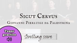 Sicut Cervus  Palestrina  Tenor practice with score [upl. by Addison]