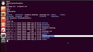 How to Copy Files from One Linux Server to Another  SCP Command For Beginners [upl. by Artemas]