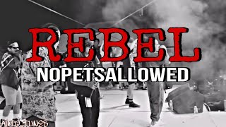 REBEL  NOPETSALLOWED [upl. by Novyart]