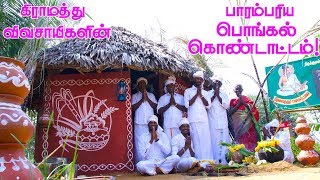 PONGAL CELEBRATION in Village by farmers  We celebrate Our Traditional Festival in Our Village [upl. by Teodor277]