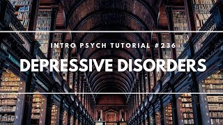 Depressive Disorders Intro Psych Tutorial 236 [upl. by Ahsema165]