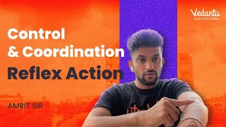 Control and Coordination  Reflex Action  CBSE Class 10 Biology 202223  Amrit Sir [upl. by Wallie]