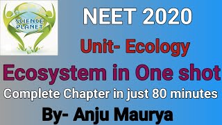 One shot Lecture of Ecosystem By Anju Maurya [upl. by Irvin811]