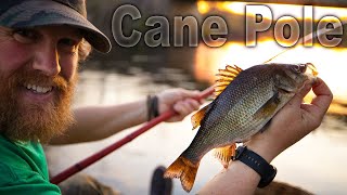 Cane Pole Fishing The Perch Run Catch and Cook Day 25 of 30 Day Survival Challenge Maine Lockdown [upl. by Nemraciram]