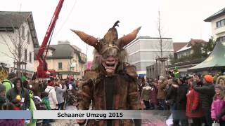 Umzug Schaan 2015 [upl. by Benny294]