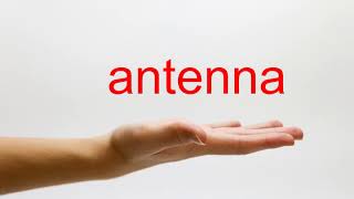 How to Pronounce antenna  American English [upl. by Nolava]