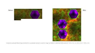 Monarc Cathodoluminescence Detector Up to 5x Higher Throughput of CL Data [upl. by Oilcareh]