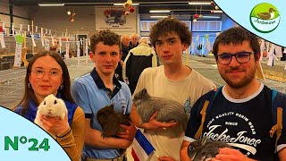 EXPOSITION AVICOLE  EPISODE 24  EXPOSITION DE TIEL 2024 🇳🇱🐇 [upl. by Lewls274]