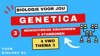 4 vwo  Genetica  3  Monohybride kruisingen amp stambomen [upl. by Claudy]