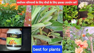 super sonata सभी प्रकार के plant के लिए best how to use super sonata on plants PTG youtubevideos [upl. by Droffig]