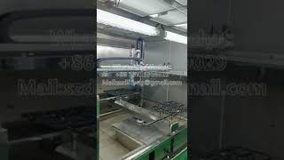 Five axis multi station reciprocating spraying machine [upl. by Dasteel]