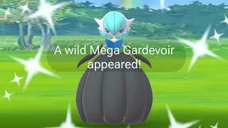 new Mega Gardevoir raid started in pokemon go [upl. by Lekkim838]