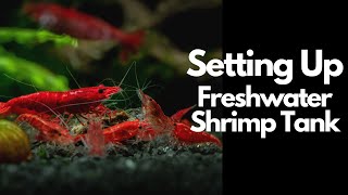 How To Setup A Freshwater Shrimp Tank 🦐 [upl. by Swayne]