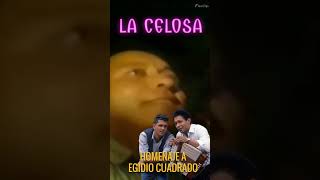 LA CELOSA CARLOS VIVES HOMENAJE A EGIDIO CUADRADO [upl. by Akiehsal]