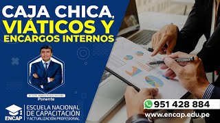 CURSO CAJA CHICA VIÁTICOS Y ENCARGOS INTERNOS [upl. by Webster]