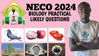 2024 NECO BIOLOGY PRACTICAL EXAMINATION GUIDE [upl. by Yentuoc]