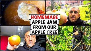 How To Make Apple Marmalade Pakistani Style  Apple Jam Recipe  Apple Jam Banane Ka Tarika [upl. by Guerin]