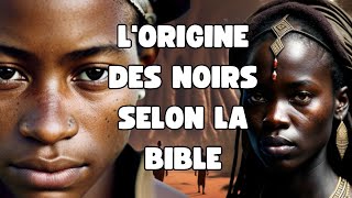 LA BIBLE RACONTE LINCROYABLE HISTOIRE DE LORIGINE DU PEUPLE AFRICAIN  HISTOIRES BIBLIQUES [upl. by Heall]