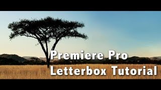 Premiere Pro Letter Box Tutorial [upl. by Farny176]