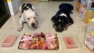 DDO MUK Oampn🐶🐶 Pit Bulls eat RAW combo ASMR MUKBANG 犬が生の肉を食べる咀嚼音 โอลิ นมมี่ EP036 of 2024 [upl. by Neelasor]