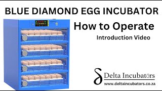 Blue Diamond Automatic Egg Incubator  Setup and Operation video  Delta Incubators [upl. by Adnamas]