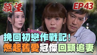 願望 EP43 完整版｜珍妮求婚大失敗 曉春冠傑終於舊情復燃！小三轉正宮 美妍竟懷有金孫？！｜Desires｜【蘿琳亞塑身衣】 [upl. by Nicky]