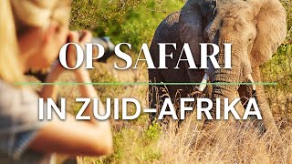 Op Safari in Zuid Afrika [upl. by Booth33]