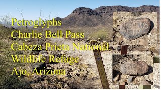 Petroglyphs Cabeza Prieta National Wildlife Refuge Ajo AZ Charlie Bell Pass [upl. by Ecurb]