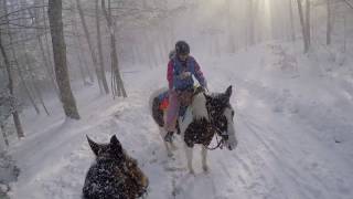 One of my favorite trail rides Riding horses on a cold snowy day [upl. by Eelaras973]