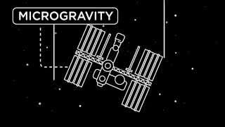 MICROGRAVITY [upl. by Ressler]