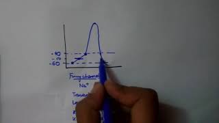 SIMPLEST explanation of SA NODAL action potential [upl. by Naujek]