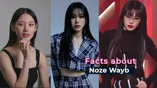 TikTok NozeWayb Real Name Makeup Age Best Friend Parents Boyfriend Net worth Birthday Bio [upl. by Yssenhguahs]