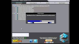 Tweakingcom  Registry Backup How to use [upl. by Becka]