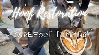 HOOF RESTORATION [upl. by Llenram]