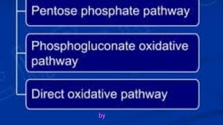 ViralHexosemonophosphatepathway🤔🤔HMPShuntHexosemonophosphateshuntpathwayPentosephosphatepathway [upl. by Tami]