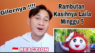 Rambutan  Kasihnya Laila  The masked singer  Minggu 5 🇮🇩 REACTION [upl. by Beora]