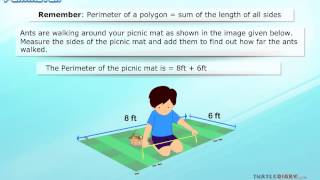 Perimeter of a Shape  What it is amp How to Find It Math for Kids [upl. by Eadnus]