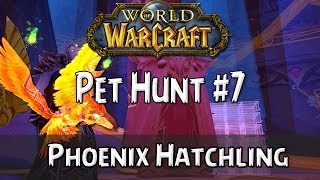 WoW Pet Hunt 7 Phoenix Hatchling [upl. by Yddet]