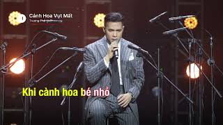 Cánh Hoa Vụt Mất  Trương Thế Vinh  KARAOKE [upl. by Patricio594]