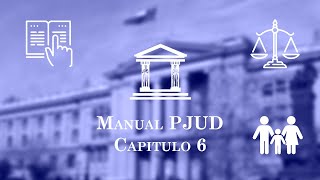 Capítulo 6 Procedimientos ante los Juzgados de Familia  Manual único para Tribunales [upl. by Llerehs986]