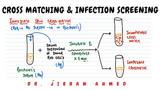 CROSS MATCHING AND SCREENING OF INFECTIONS II HEMATOLOGY II BLOOD BANKING II PATHOLOGY LECTURES II [upl. by Enirehs]