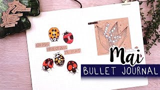 PLAN WITH ME  Bullet Journal MAI [upl. by Noivert]