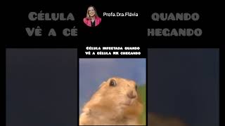 🤣🤣🤣🤣NK célula da imunidade inata que mata células infectadas e tumorais 💪imunologiamedicina [upl. by Oswell]