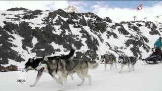 Servus Tv Frühstücksfernsehen live von der Husky Ranch [upl. by Atilem938]