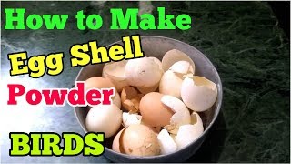 HOW TO MAKE EGG SHELL POWDER FOR BUDGIES BIRDS [upl. by Calv]