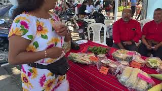 Feria Escolar en Jalapa [upl. by Oicnoel]