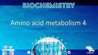 L4 Amino acid metabolism  Glutamic acid Glutamine Aspartic acid Asparagine Biochemistry [upl. by Boswell]